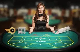 luck55vip Sportsbook
